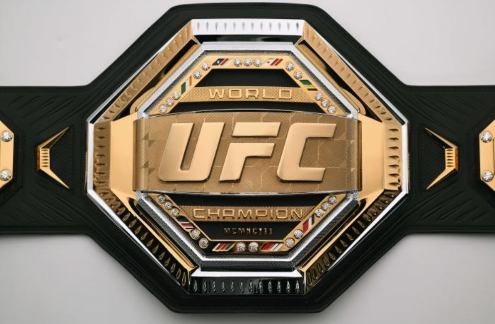 How does the UFC work?