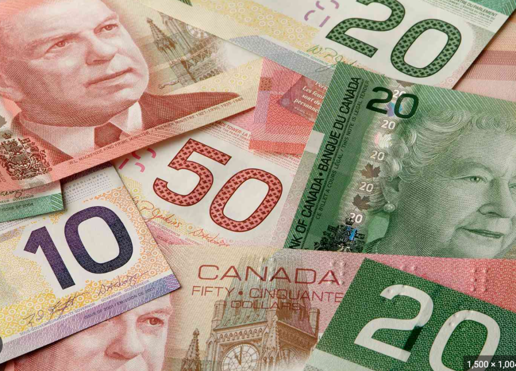 how-to-find-canada-dollar-rate-today-in-punjab-inr-to-1cad